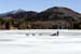 lakeplacid-2009-03-20-al0043