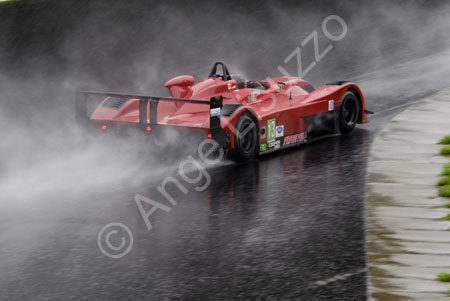 alms-2010-lrp-al-3013