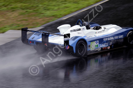 alms-2010-lrp-al-3015