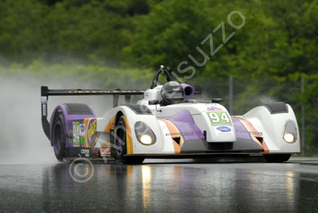 alms-2010-lrp-al-3048