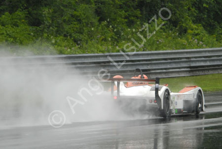 alms-2010-lrp-al-3075