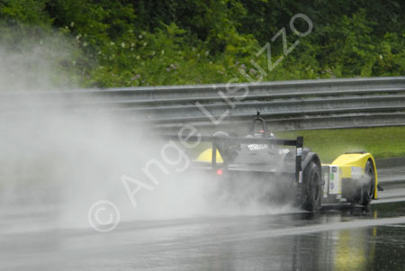 alms-2010-lrp-al-3078