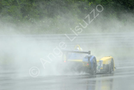 alms-2010-lrp-al-3080
