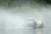 alms-2010-lrp-al-3080