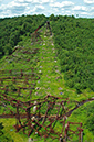 2014-07-20-afl-1108