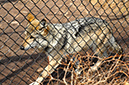 2014-04-13-afl-19
