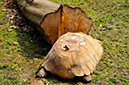 2014-04-13-afl-06