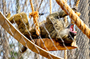 2014-04-13-afl-32
