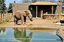 2014-04-13-afl-36