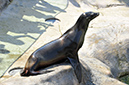 2014-04-13-afl-26