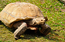 2014-04-13-afl-07