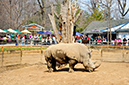 2014-04-13-afl-11