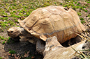 2014-04-13-afl-05